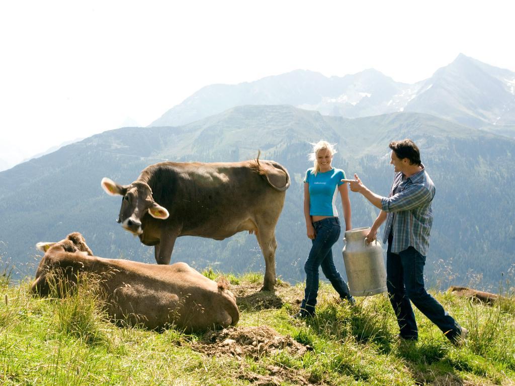 Gasthof Pension Madseiterhof Tux Luaran gambar